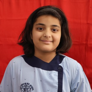 Bhuvi